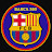 BARCA 360