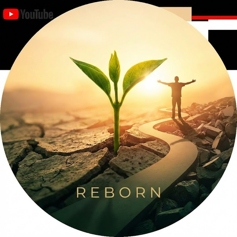 다시일어나는인생이야기