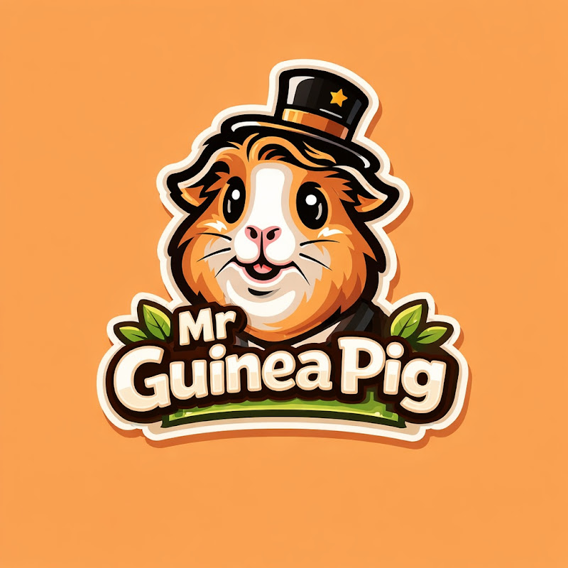 Mr Guinea Pig