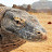 @varanus_4223's avatar