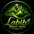 mdWAuMsVgLs-channel-avatar-Labib Moral Voice 