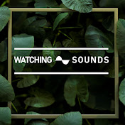 Watching Sounds
