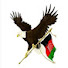 vRC9B1OgB-8-channel-avatar-MUHACİR SARGARDAN مهاجر سرگردان 