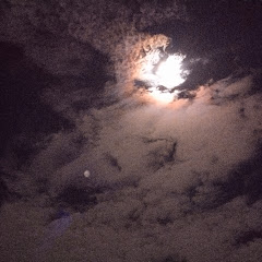 सनातन धर्म 