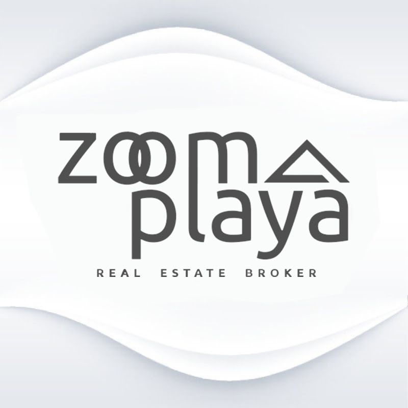 Zoom Playa Real Estate