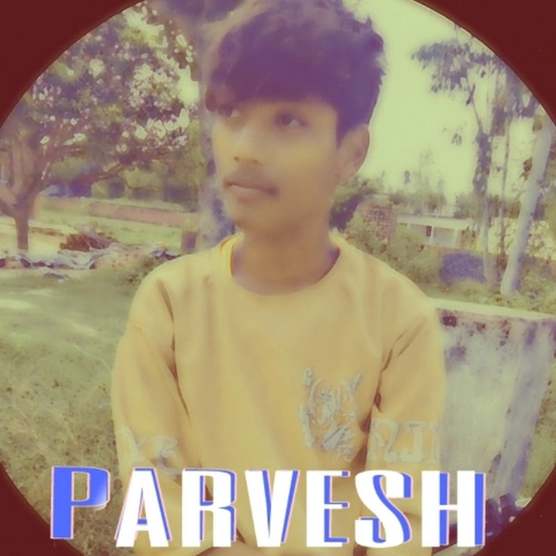 Hire pk 1M — Pets & Animals YouTube creator for sponsorships