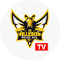 zxkl9pbP_aQ-channel-avatar-Villebon Volley TV