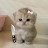 @غديرحيدر-ر2ح