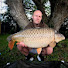 ngJjjrieVRs-channel-avatar-The Dorset Carper