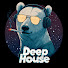 dfVErVARtFI-channel-avatar-Funky Deep House