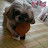 @새롬이-v6m