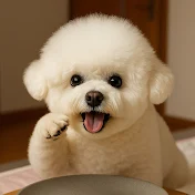 Mimi’s AI Bites ASMRミミのモッパン🐶