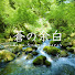 W0L_cEyCVg8-channel-avatar-蒼の余白 / Blue Silence Japan