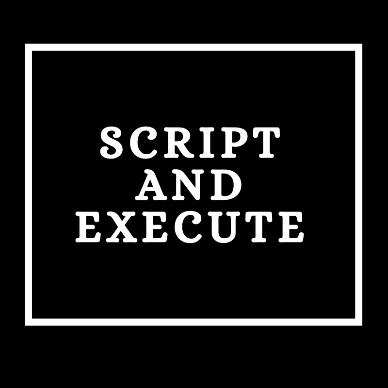 Script and Execute Logo