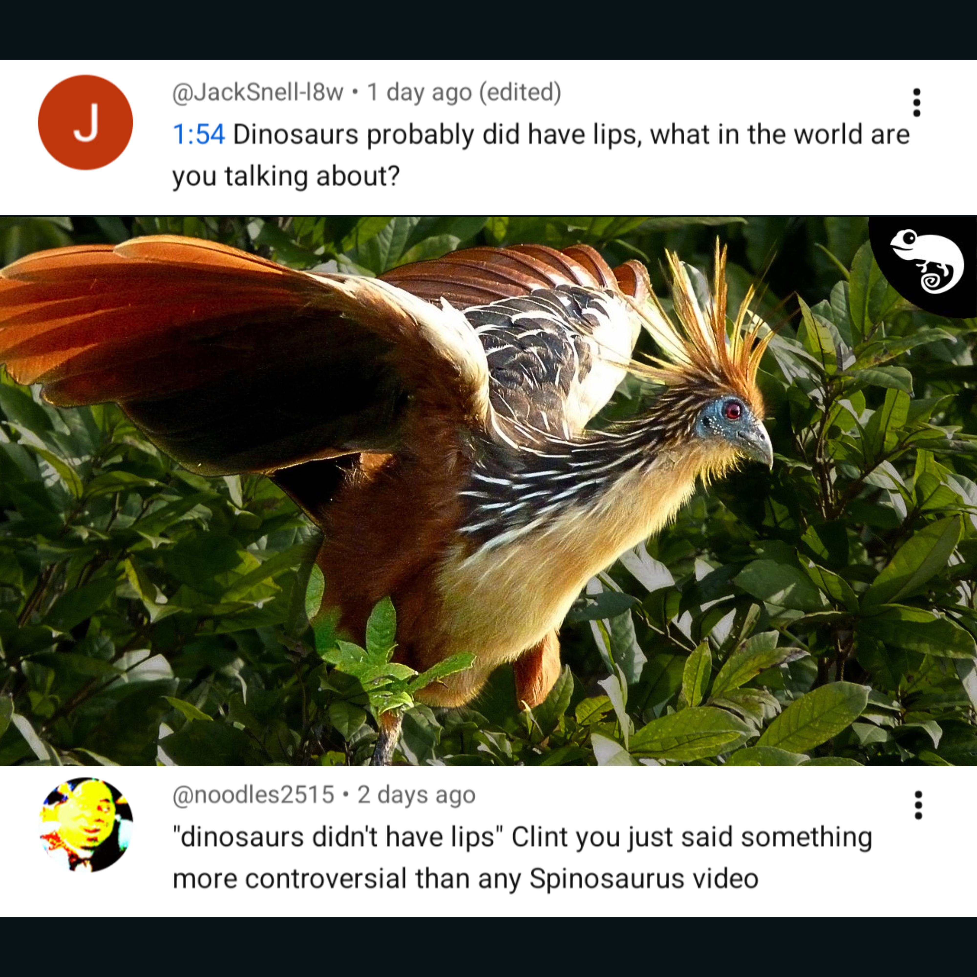 Community post