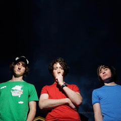 The Wombats