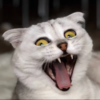Sonyakisa8 TT profile image