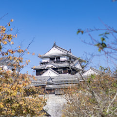 愛媛県松山市下伊台町ライブカメラアイコン画像