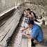 Ce9KC1pZI_o-channel-avatar-Bo's Farm
