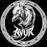 EYOKoumt_SM-channel-avatar-AVUR