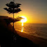 unYWZ2owW5s-channel-avatar-منوعات عامة