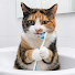 T53qodj0ktM-channel-avatar-Pets Ellen