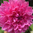 @aafreenhussain6657 Avatar