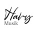 pGTgWb3b21w-channel-avatar-Havy Musik