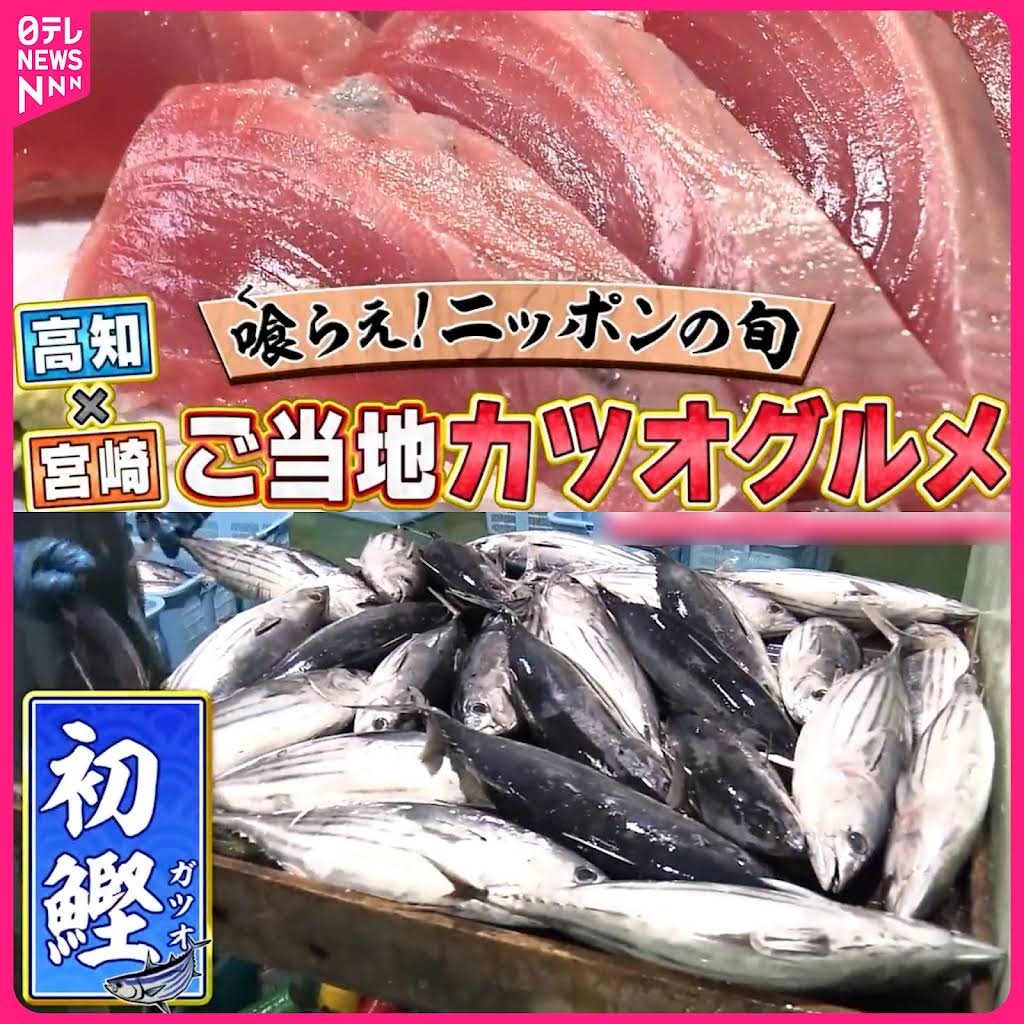 初ガツオ YouTube