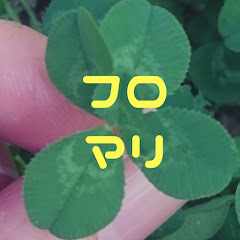 フローズンマリーの世界