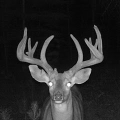 Trail Cam Nut