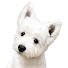 TQlK93Yiwgk-channel-avatar-마주 Maju Westie