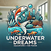 Underwater Dreams 