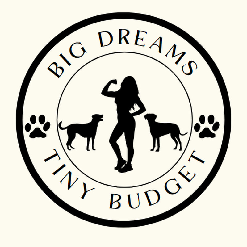 Big Dreams Tiny Budget