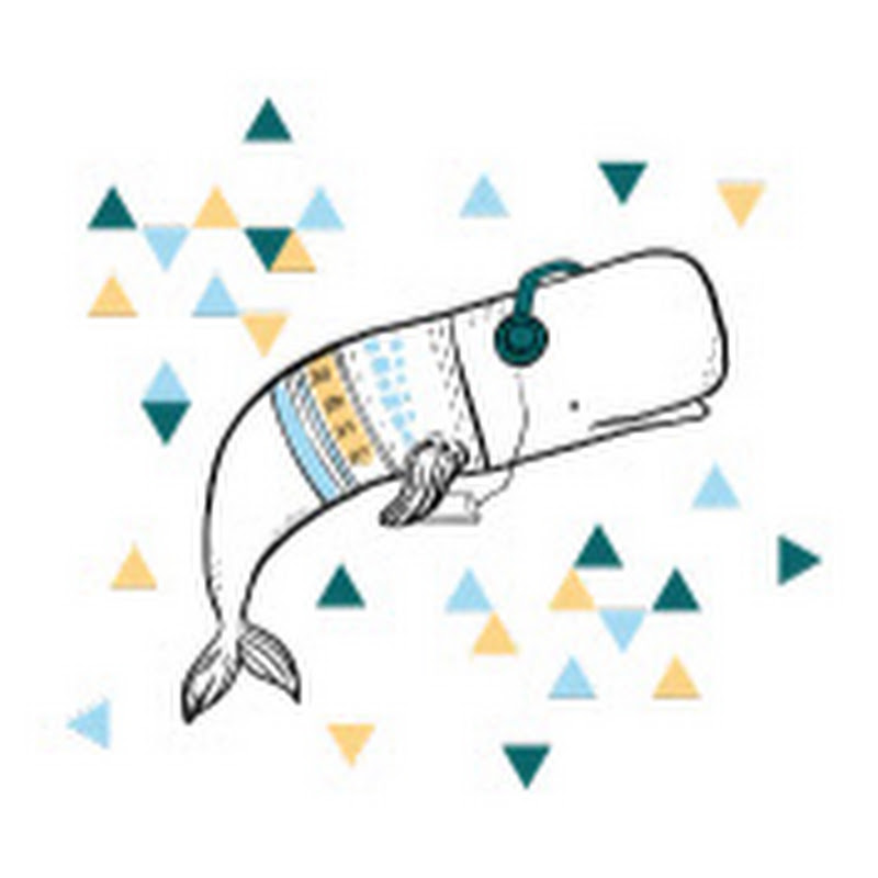 Music Whale