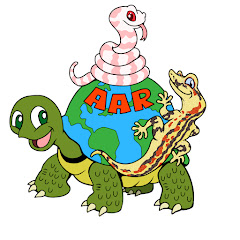 All Around Reptiles