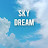 skydream312