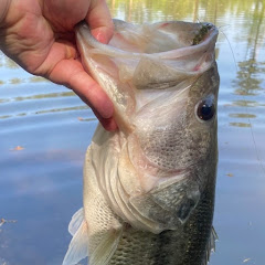 Midwest Fishing and Hunting