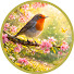 H-__T0NhwdI-channel-avatar-Little Spring Birds