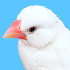 たいち