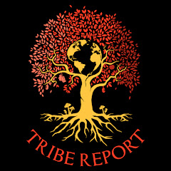 Tribe Report Avatar