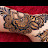 @the-best-mehndi-design