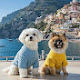 루이와 펜디 (Louie & Fendi)