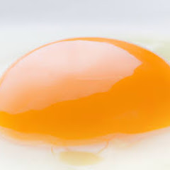 なまたまごはめっちゃやばい