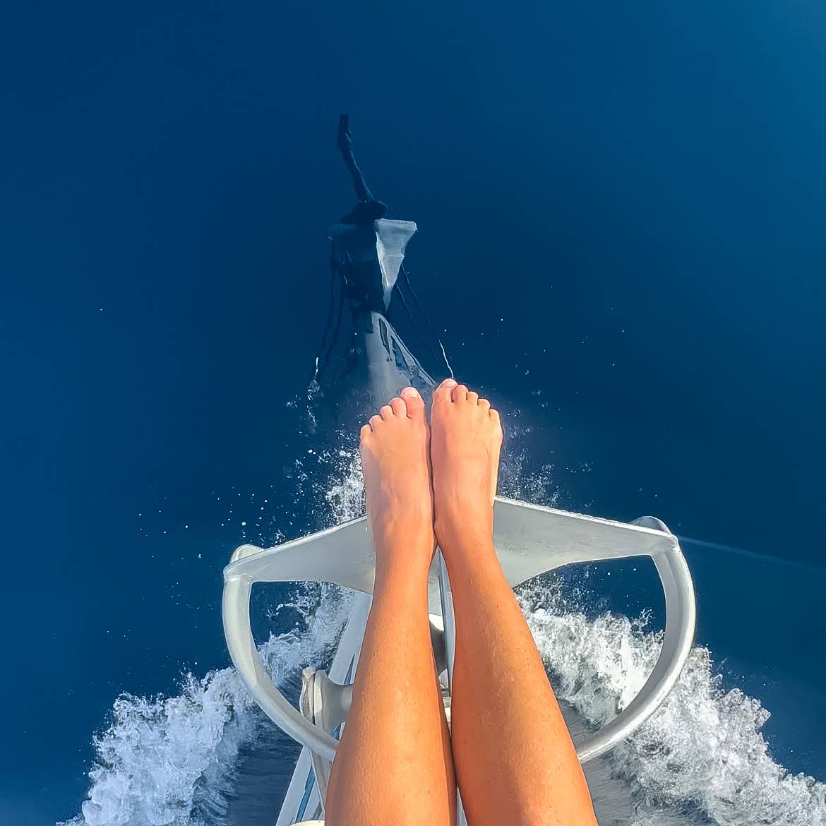 Post from Sailing Holly Blue