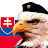 Slovak Eagle