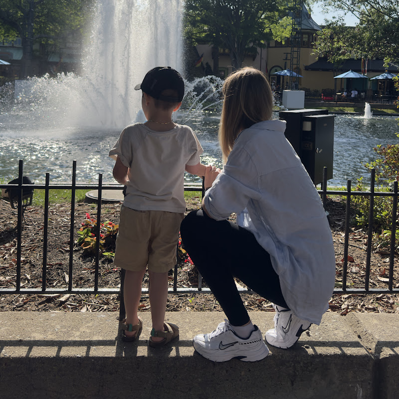 A vida nos Estados Unidos 🇺🇸