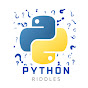 Python Riddles logo