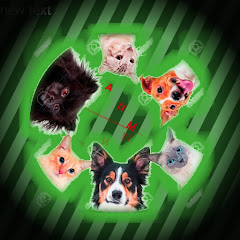 Animals Lover #Muna#
