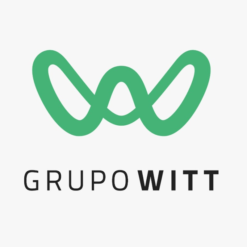 Grupo Witt Seminuevos